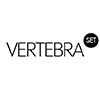 Ortotyczny system szkieletowy kregoslupa – VERTEBRAset