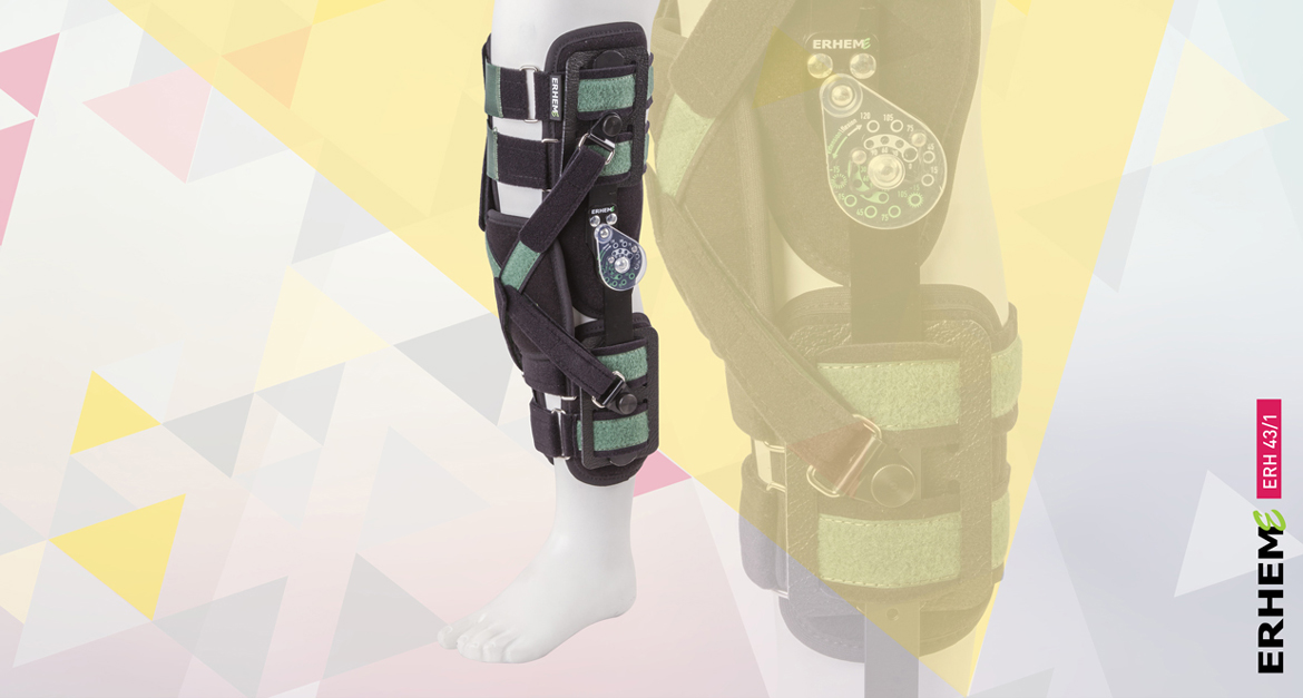 ERH 43/1 Open modular knee apparatus with canopy