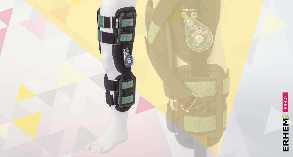 ERH 43 Open modular knee apparatus
